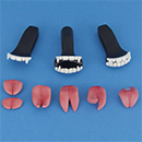 Vampire Teeth & Tongue Kit
